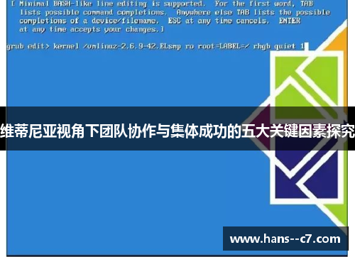 维蒂尼亚视角下团队协作与集体成功的五大关键因素探究