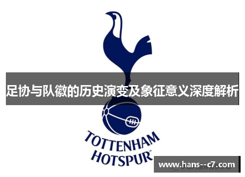 足协与队徽的历史演变及象征意义深度解析