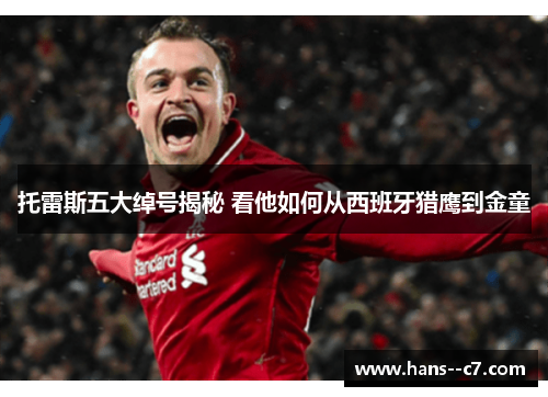 托雷斯五大绰号揭秘 看他如何从西班牙猎鹰到金童