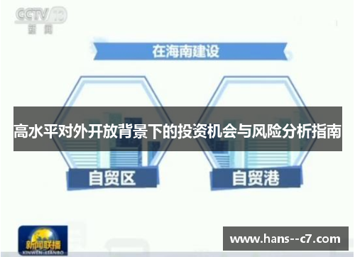 高水平对外开放背景下的投资机会与风险分析指南