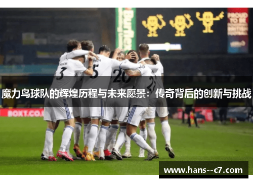 魔力鸟球队的辉煌历程与未来愿景：传奇背后的创新与挑战