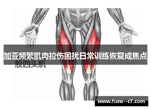 加亚频繁肌肉拉伤困扰日常训练恢复成焦点