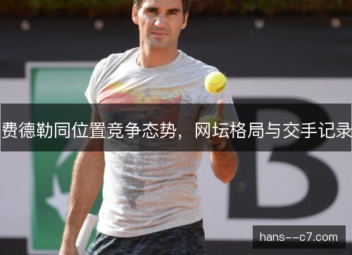 费德勒同位置竞争态势，网坛格局与交手记录